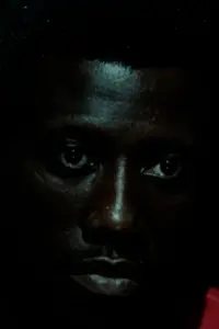 Poster to the movie "Another Other" #748782