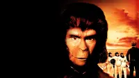 Backdrop to the movie "Escape from the Planet of the Apes" #770423