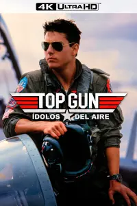 Poster to the movie "Top Gun" #790114