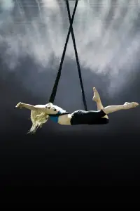 Poster to the movie "The Aerialist" #1072642