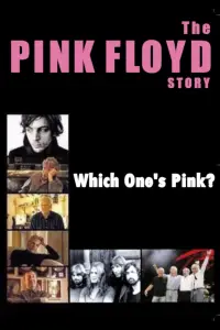 Poster to the movie "The Pink Floyd Story: Which One