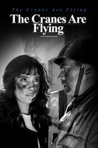 Poster to the movie "The Cranes Are Flying" #737064