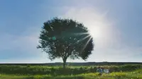Backdrop to the movie "Sore: Istri Dari Masa Depan" #796862