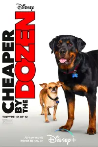 Poster to the movie "Cheaper by the Dozen" #1043862