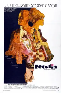 Poster to the movie "Petulia" #674422