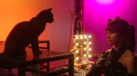 Backdrop to the movie "Cat Call" #771197