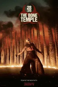 Poster to the movie "28 Years Later Part 2: The Bone Temple" #925303
