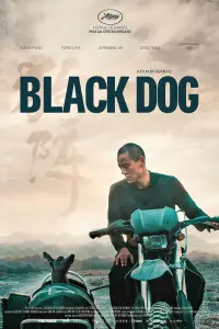Poster to the movie "Black Dog" #1127689