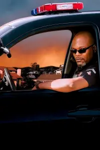 Poster to the movie "Lakeview Terrace" #809291