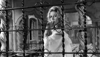 Backdrop to the movie "The Saragossa Manuscript" #862857
