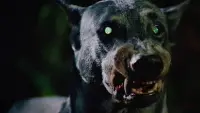 Backdrop to the movie "Devil Dog: The Hound of Hell" #728885