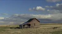 Backdrop to the movie "My Own Private Idaho" #808509