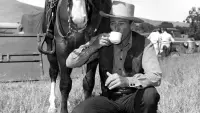 Backdrop to the movie "Tall in the Saddle" #824753