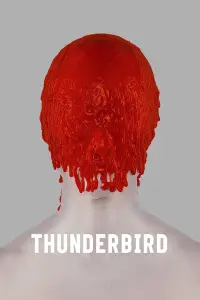 Poster to the movie "Thunderbird" #992732