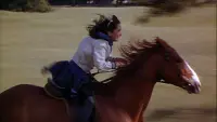 Backdrop to the movie "National Velvet" #714632