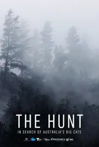 The Hunt: In Search of Australia's Big Cats