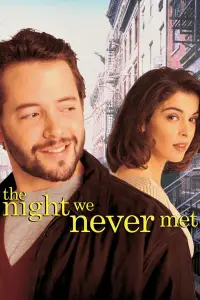 Poster to the movie "The Night We Never Met" #987574
