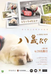 Poster to the movie "K-9" #806538
