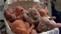 Backdrop to the movie "Basket Case 3: The Progeny" #812341
