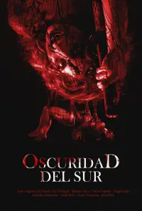 Poster to the movie "Oscuridad del Sur" #1122290