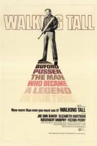 Poster to the movie "Walking Tall" #985941