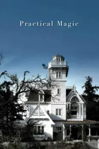 Poster to the movie "Practical Magic" #822769