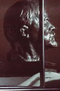 Poster to the movie "Disgraced Monuments" #889192