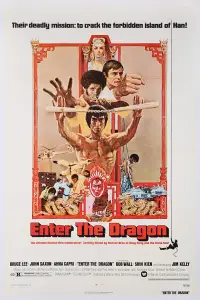 Poster to the movie "Enter the Dragon" #681472
