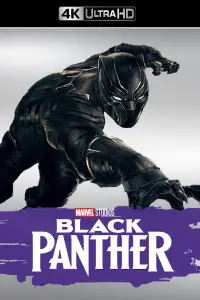 Poster to the movie "Black Panther" #929418