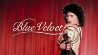 Backdrop to the movie "Blue Velvet" #626915