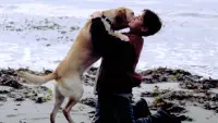 Backdrop to the movie "Far from Home: The Adventures of Yellow Dog" #882062