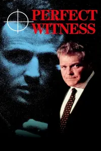 Poster to the movie "Perfect Witness" #1160460