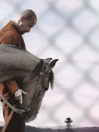 Poster to the movie "The Mustang" #881079