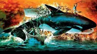 Backdrop to the movie "Orca" #837762