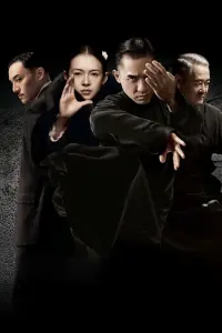 Poster to the movie "The Grandmaster" #703608