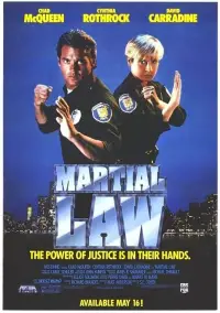 Poster to the movie "Martial Law" #1164288