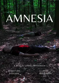 Poster to the movie "Amnesia" #569625