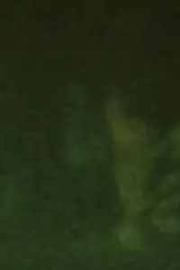 Poster to the movie "Song 29" #1044225