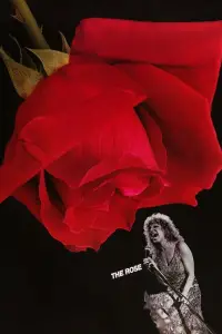 Poster to the movie "The Rose" #1092778