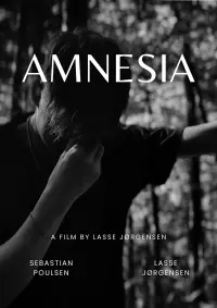 Poster to the movie "Amnesia" #569622