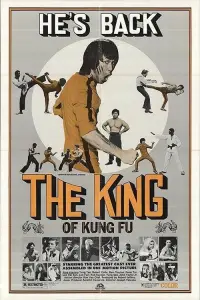 Poster to the movie "Enter the Game of Death" #973829