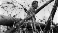 Backdrop to the movie "Paths of Glory" #692175