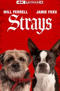Poster to the movie "Strays" #13001