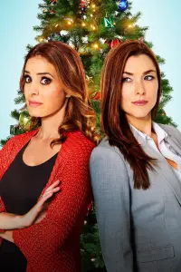 A Christmas Switch