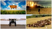 Backdrop to the movie "Food, Inc." #496023