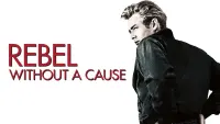 Backdrop to the movie "Rebel Without a Cause" #121067