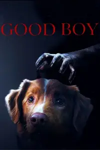 Poster to the movie "Good Boy" #517432