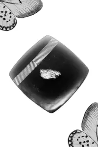 Poster to the movie "i will see me now" #1010079