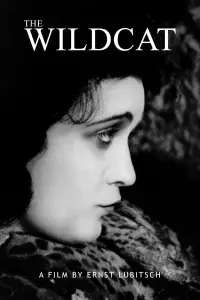 Poster to the movie "The Wildcat" #1228338