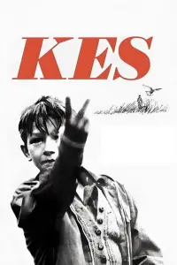 Poster to the movie "Kes" #989111